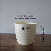 Decor 5 (pack of 4),